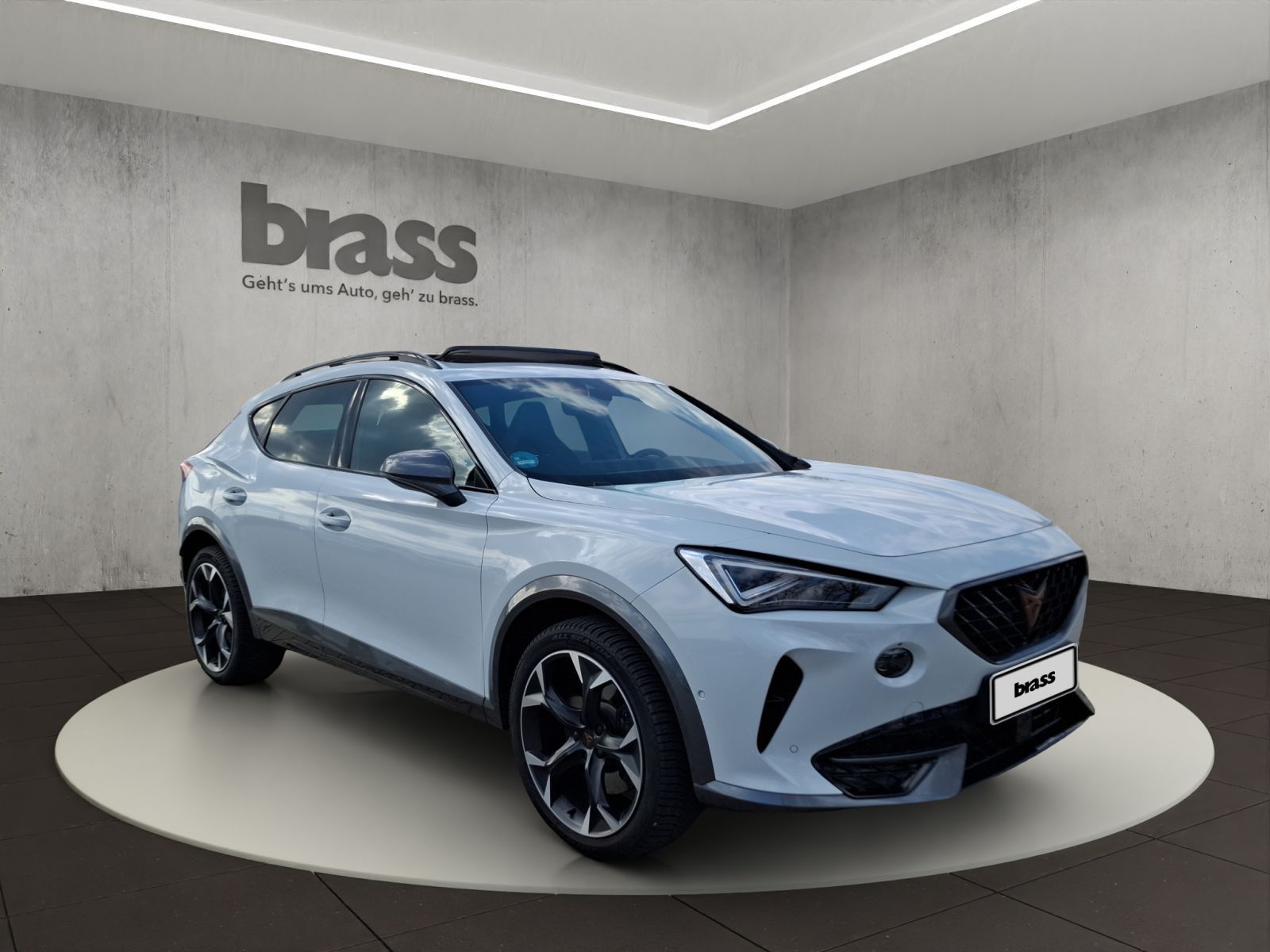 Cupra Formentor 2.0 TSI VZ AHK Panorama Soundsystem