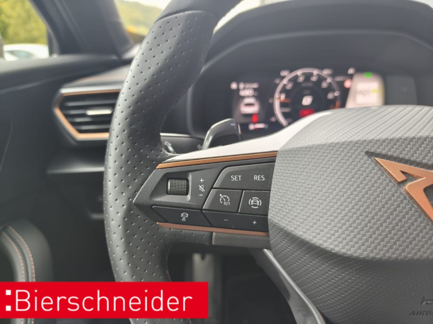 Cupra Formentor 2.0 TSI DSG VZ Tribe Edition AHK eSITZ