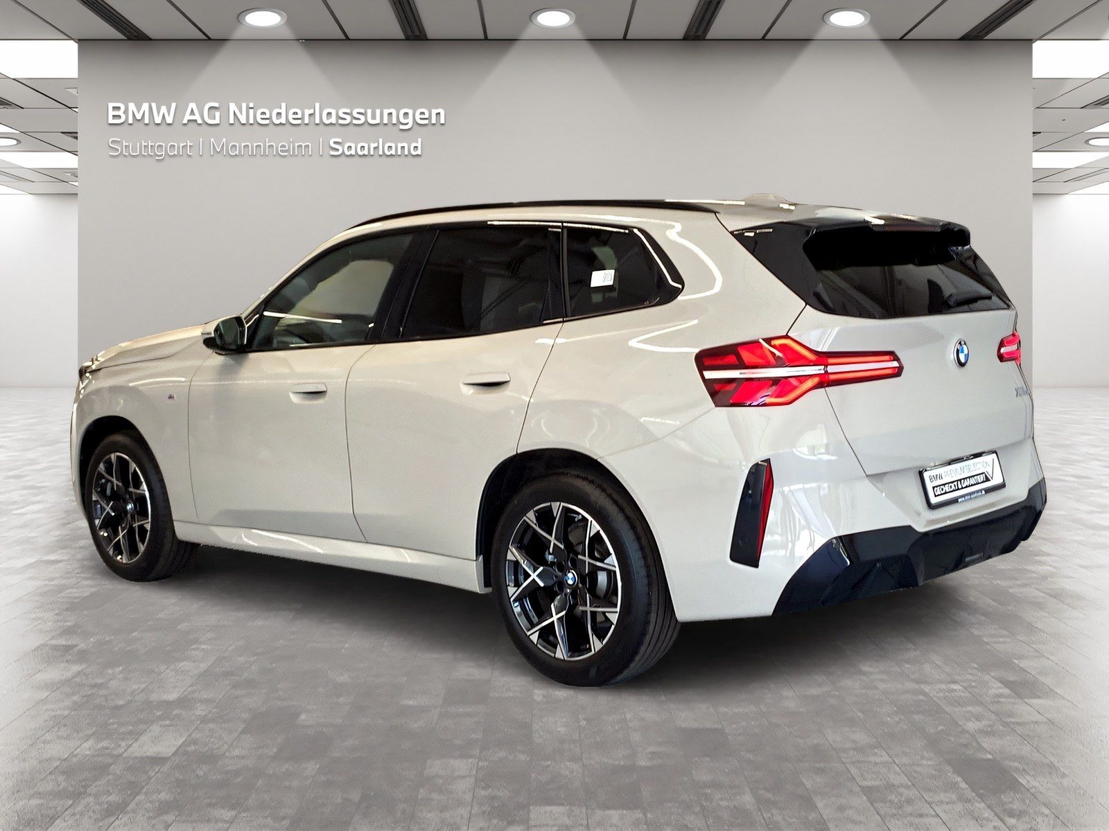 BMW X3 20 xDrive M Sport AHK Driv.Assist+ Kamera