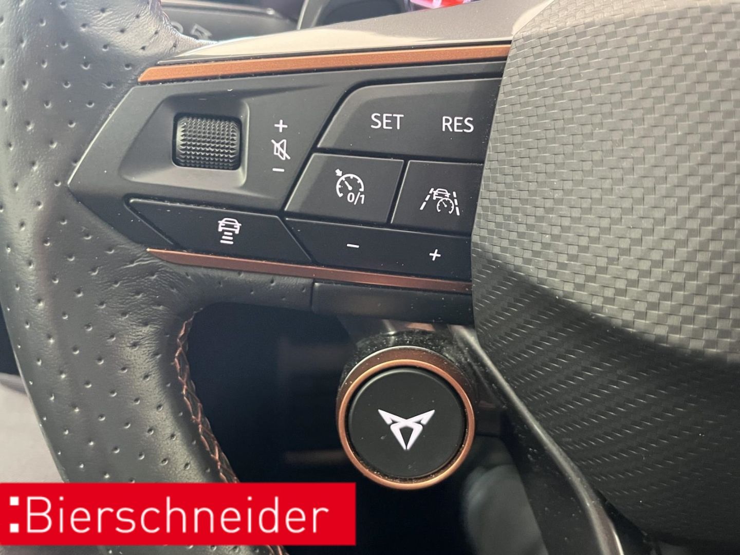 Cupra Formentor 2.0 TSI DSG 4Dr VZ AB 249EUR AHK BEATS