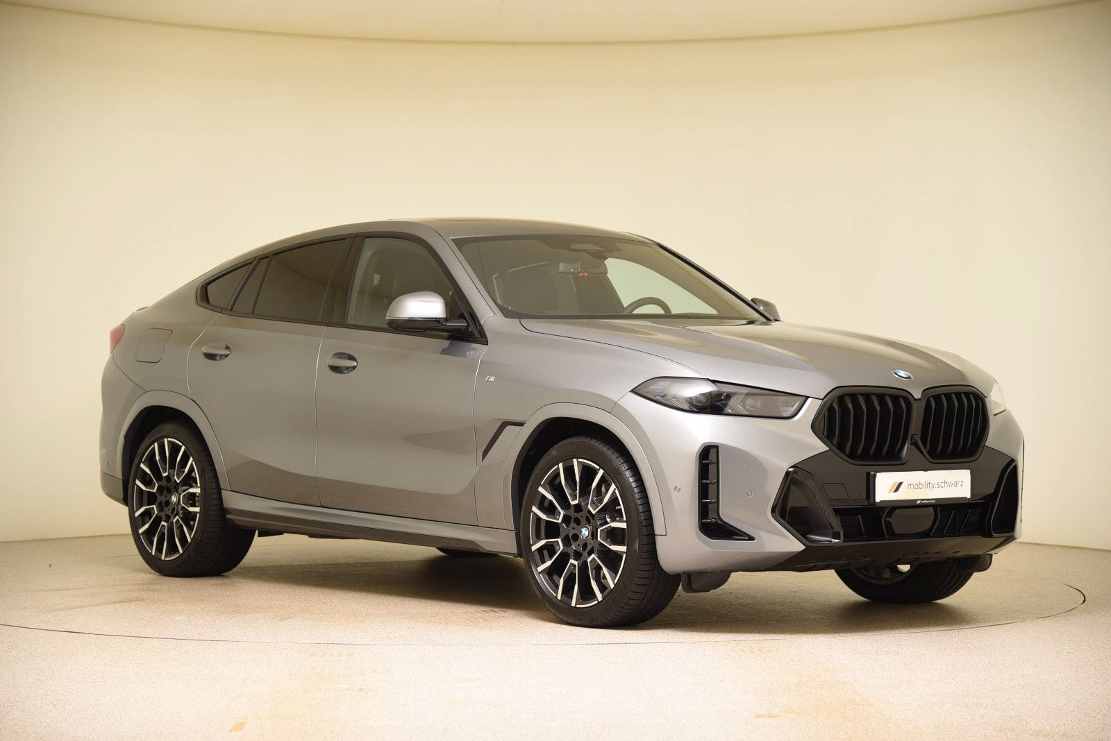 BMW X6 xDrive30d M Sport Pro ACC LED Gestik HUD Pano