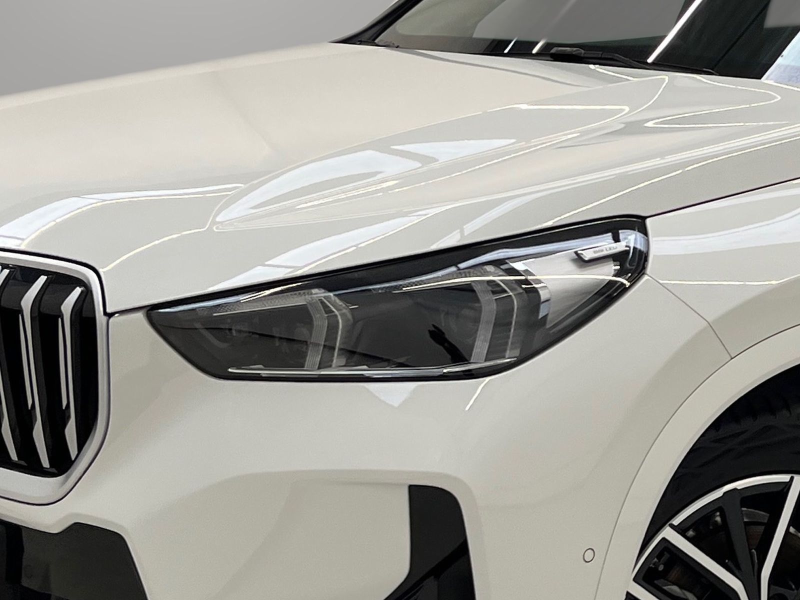 BMW X1 xDrive20d M Sport AHK Driv.Assist+ Harman/K