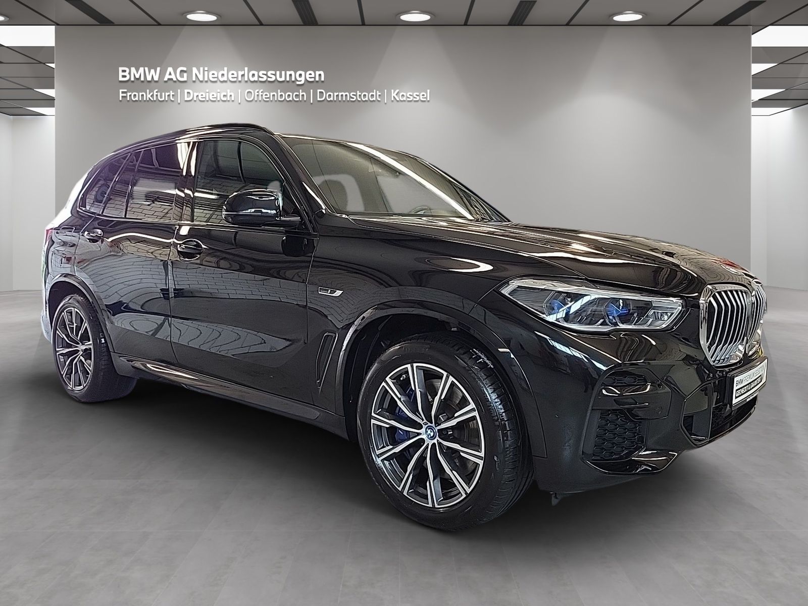 BMW X5 xDrive45e M Sport AHK Driv.Assist.Prof Laser