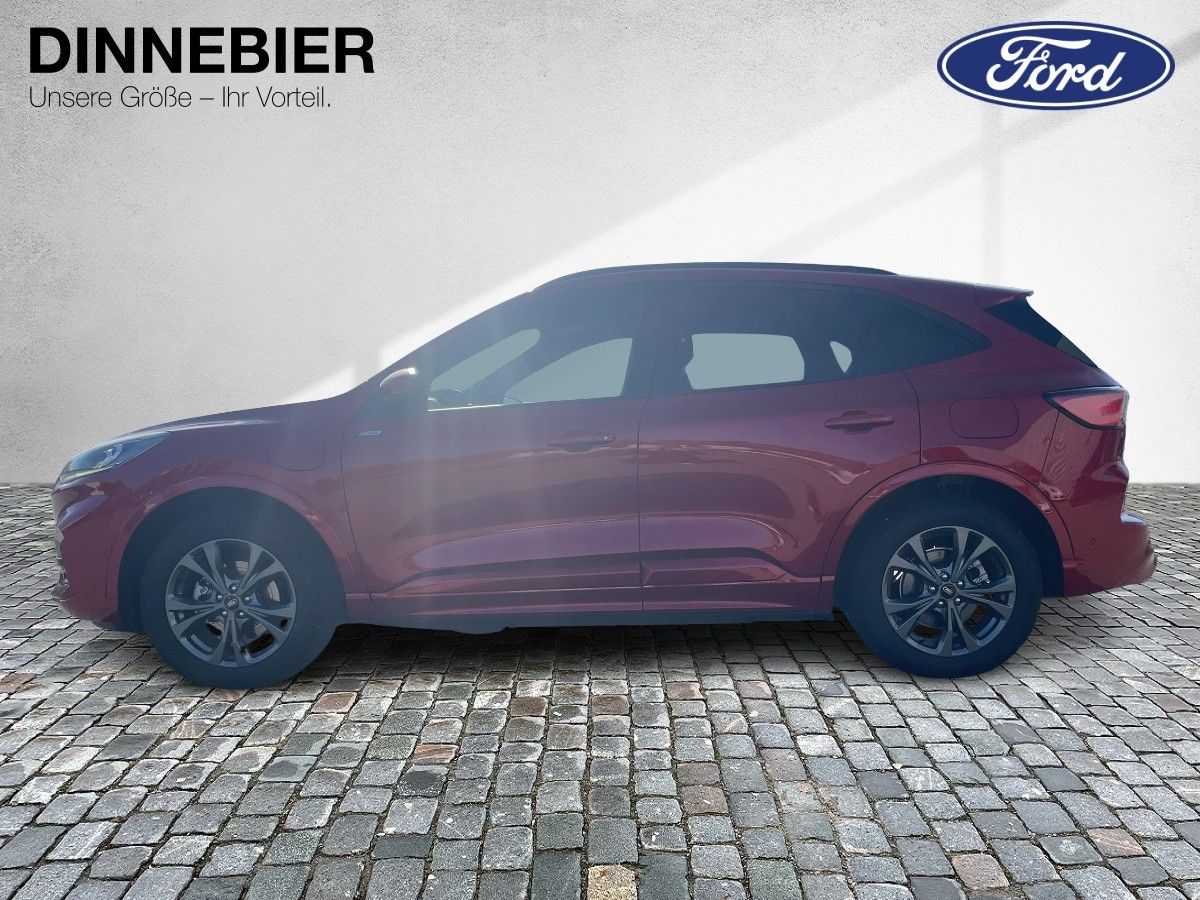 Ford KUGA ST-Line X - Samsaru's Car Outlet