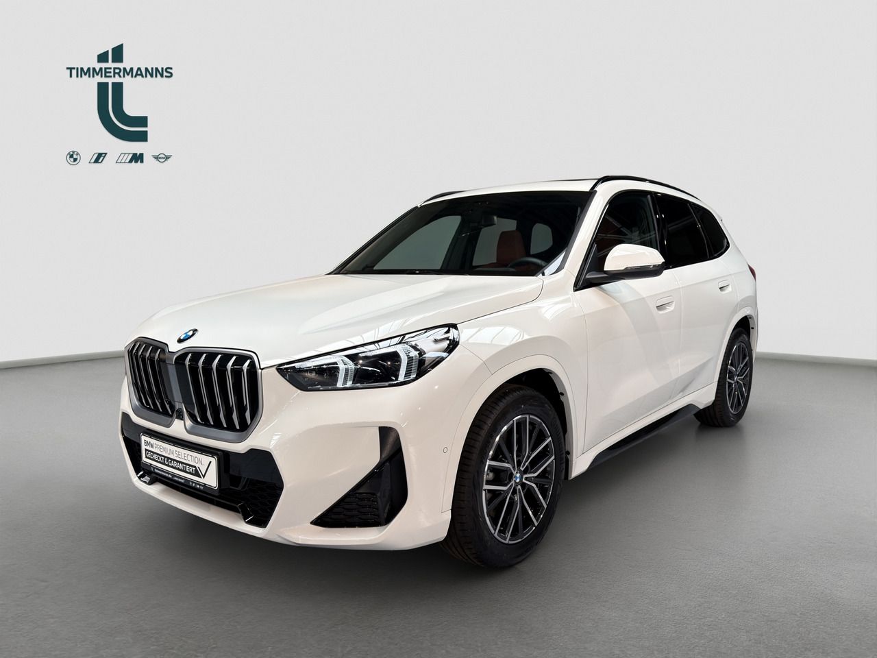 BMW X1 xDrive23d Leas.ab 519Euro mtl. 0Euro Anz.