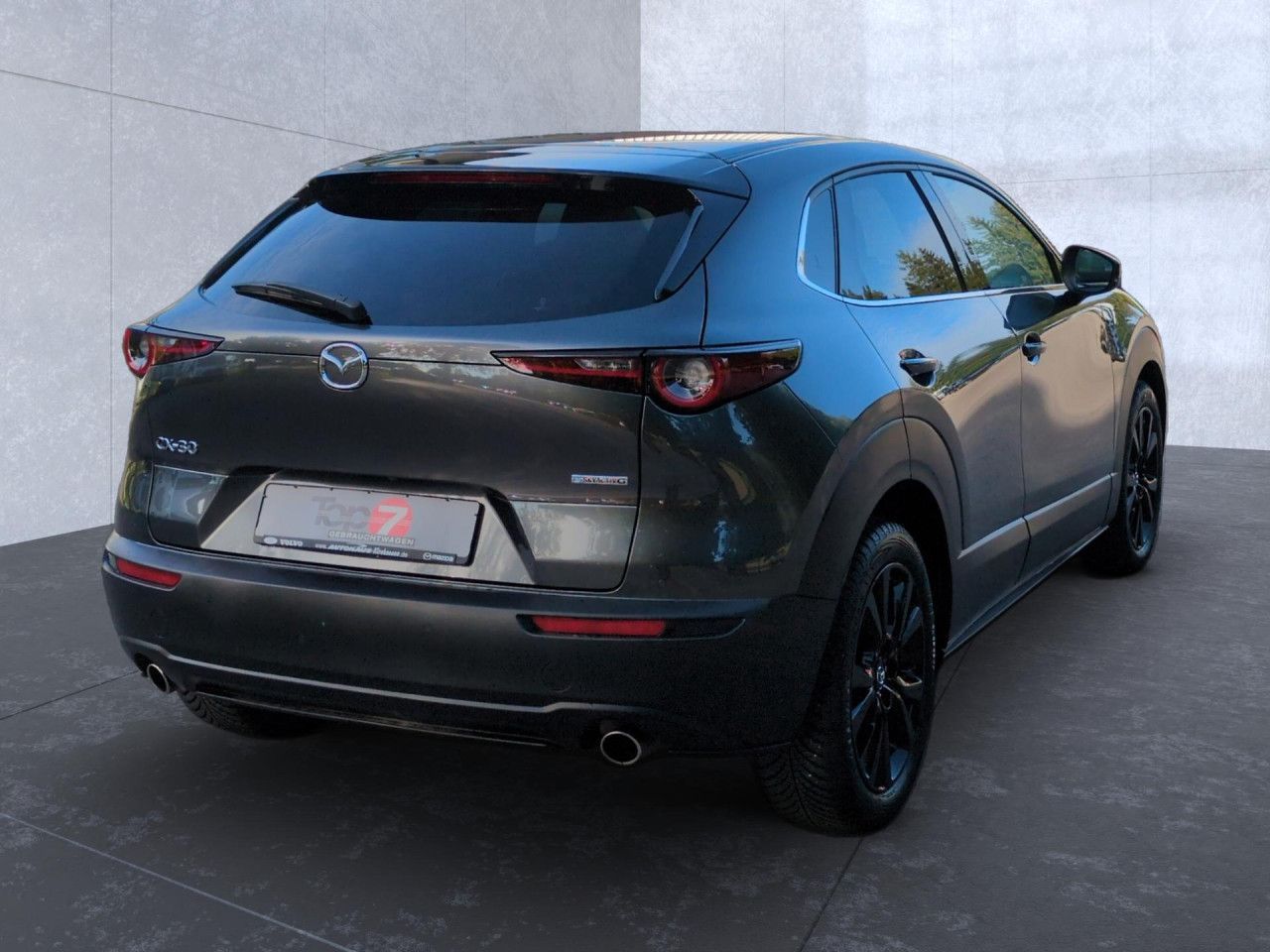 Mazda CX-30 2.5 e-SKYACTIV-G Homura 2WD Automatik Navi