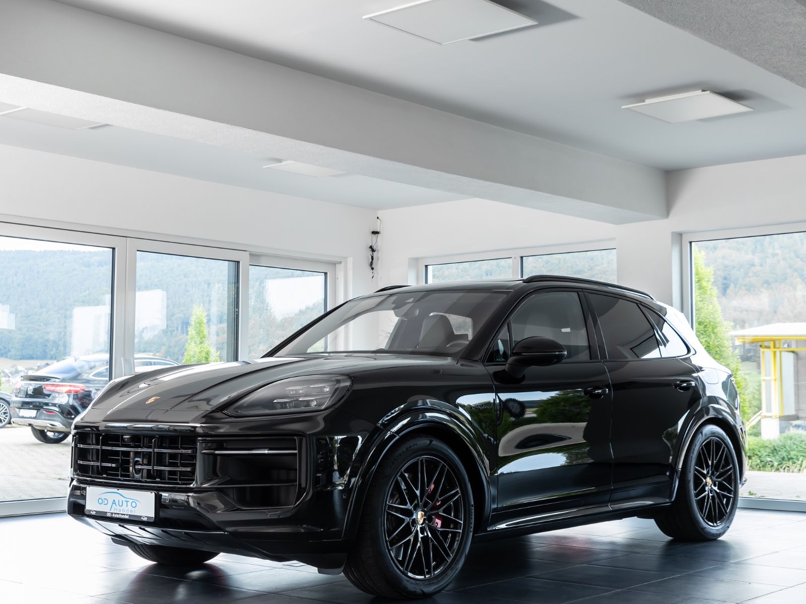 Porsche Cayenne S E-Hybrid SportDesign/DVD im Fond/AHK