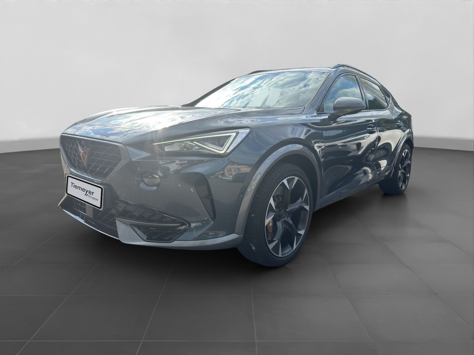 Cupra Formentor VZ 2.0 TSI BREMBO PANO AHK BEATS 360°