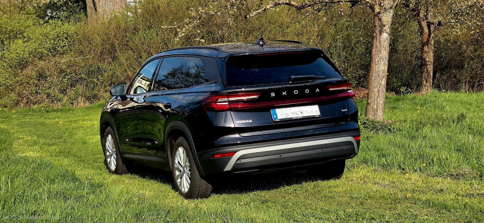 Skoda Kodiaq 2.0 TDI 142 kW 4x4 Selection *St-Hzg.*AHK