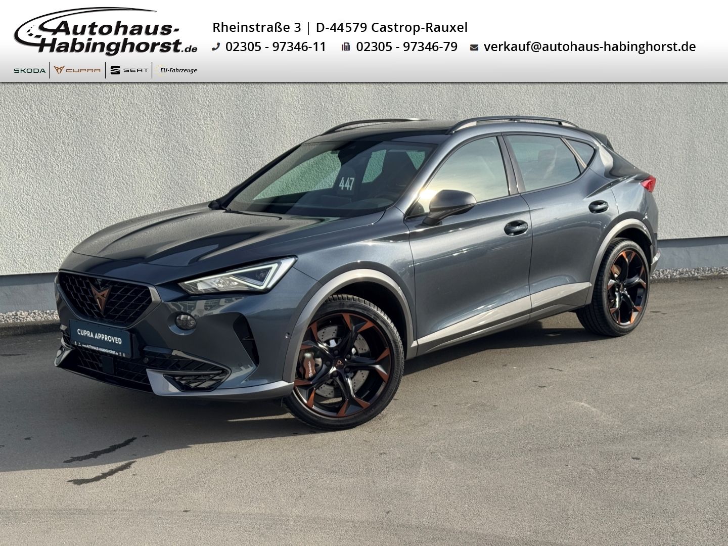 Cupra Formentor 2.0 TSI DSG 4Drive VZ AHK e.Hk TopView