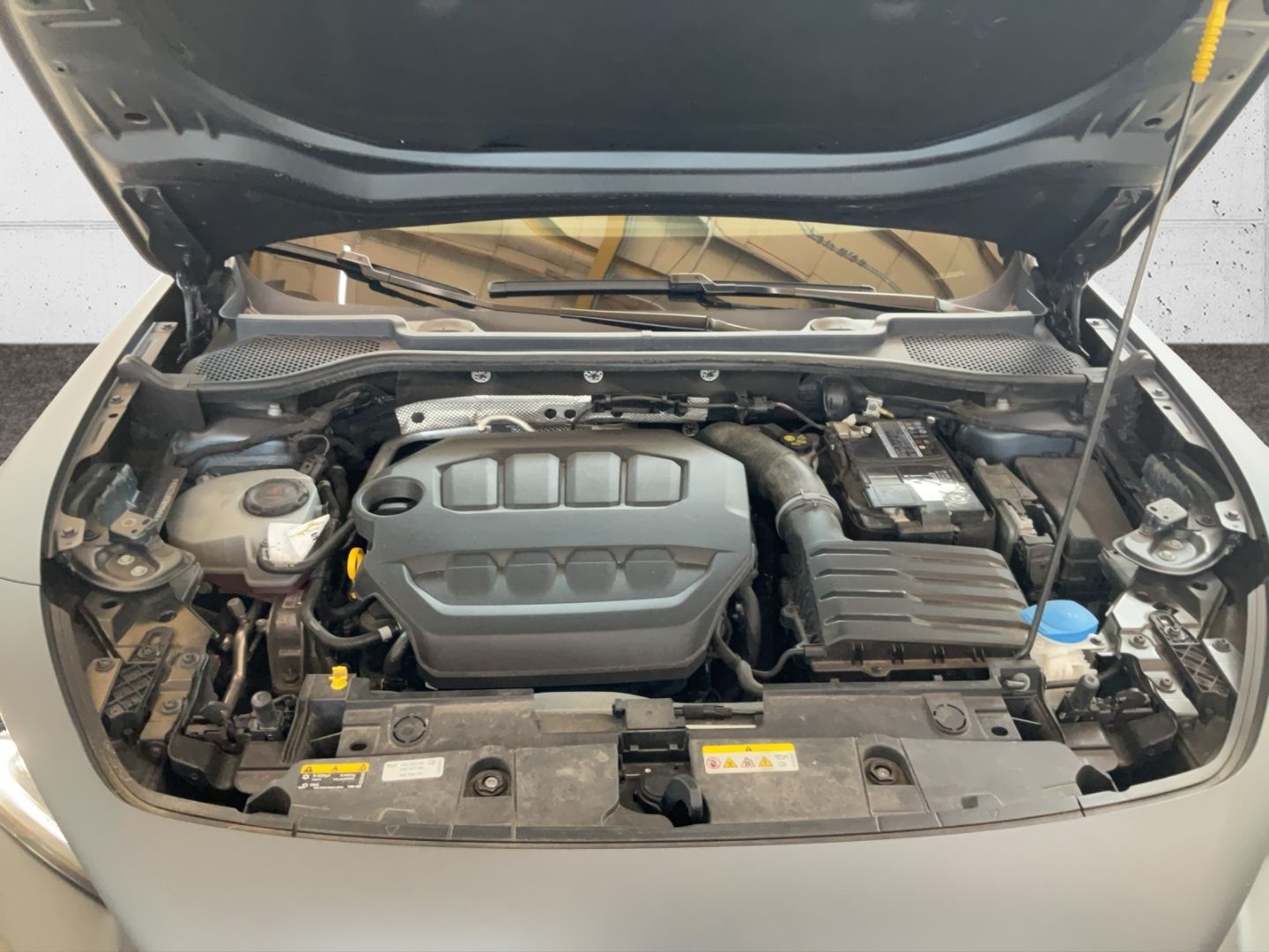 Cupra Formentor 2.0 TSI AHK Navi LederCup Brembo ACC S