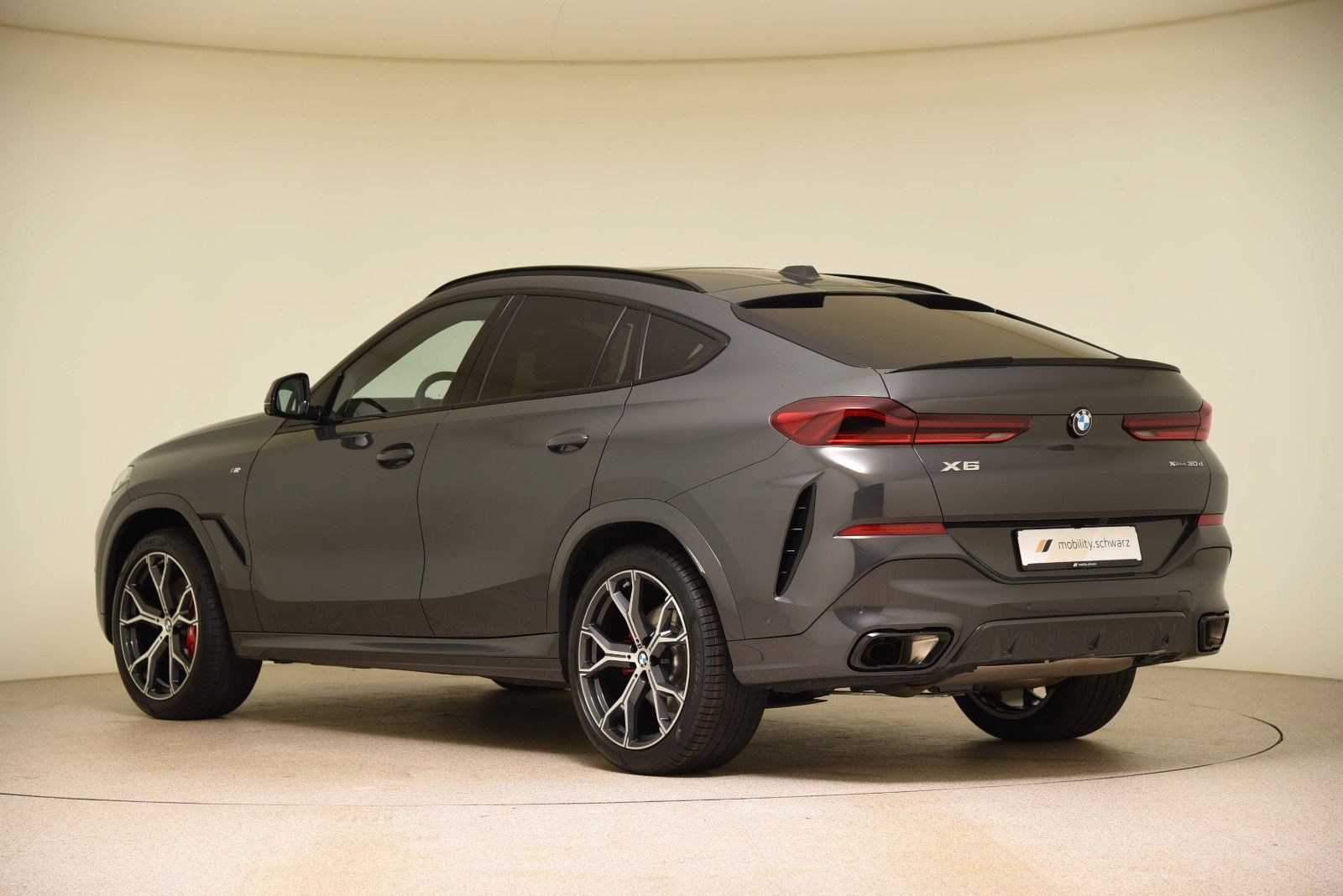BMW X6 xDrive30d M Sport Pro DriveAssProf Pano 360°