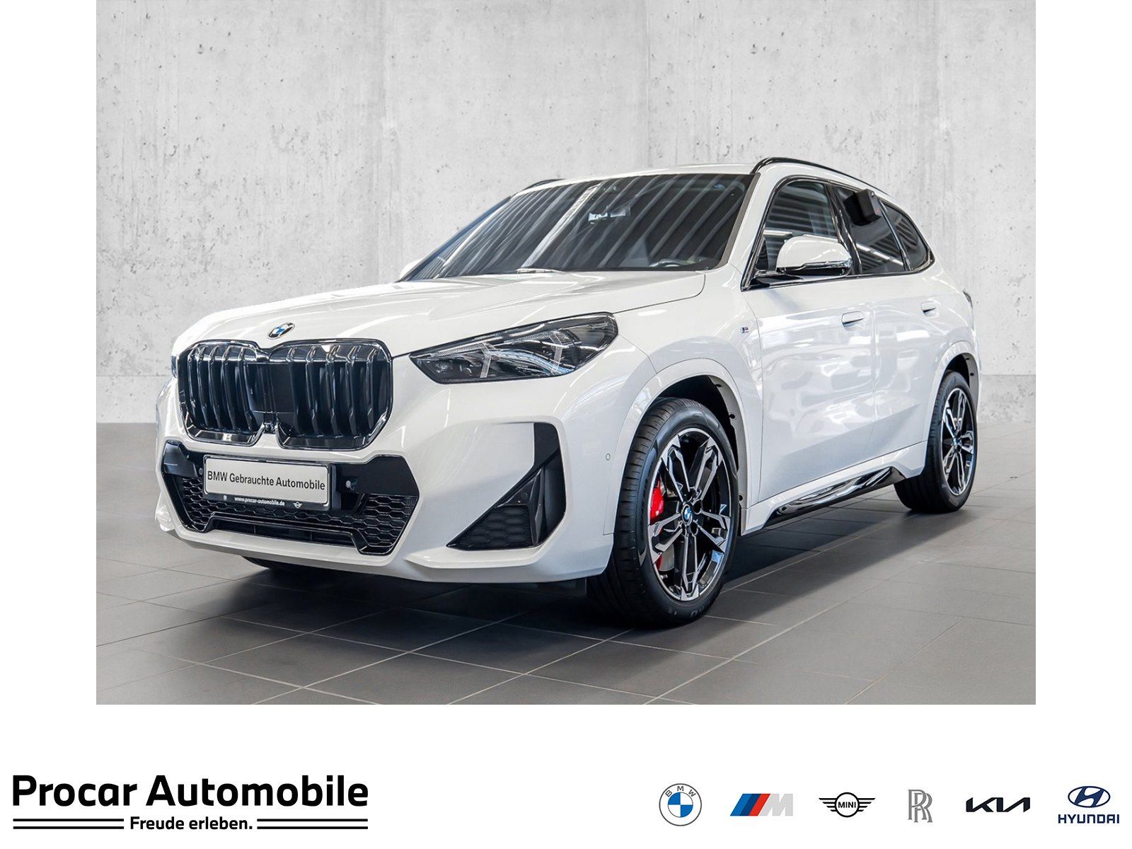 BMW X1 xDrive20d M Sport HUD ACC AHK RFK NAVI LED