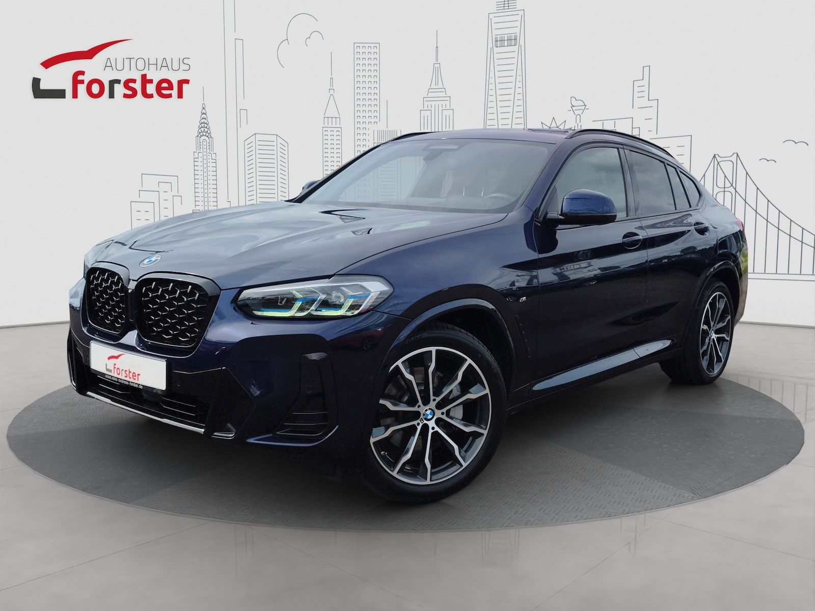 BMW X4 xDrive 30d M Sport AHK HUD Laserl. ACC Winter