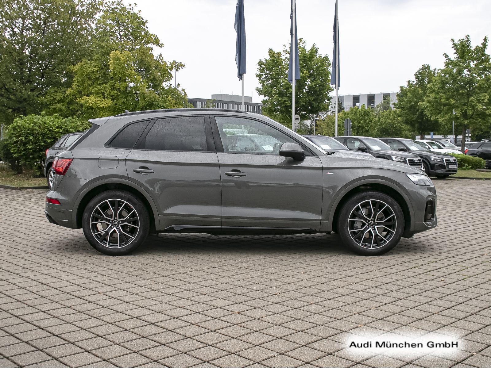 Audi Q5 40 TDI qu. S tronic S line Pano/LuftFed/StdHz