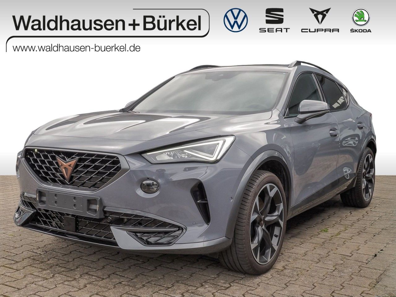 Cupra Formentor VZ 2.0 TSI 4Drive+AHK+Pano+E-Sitze