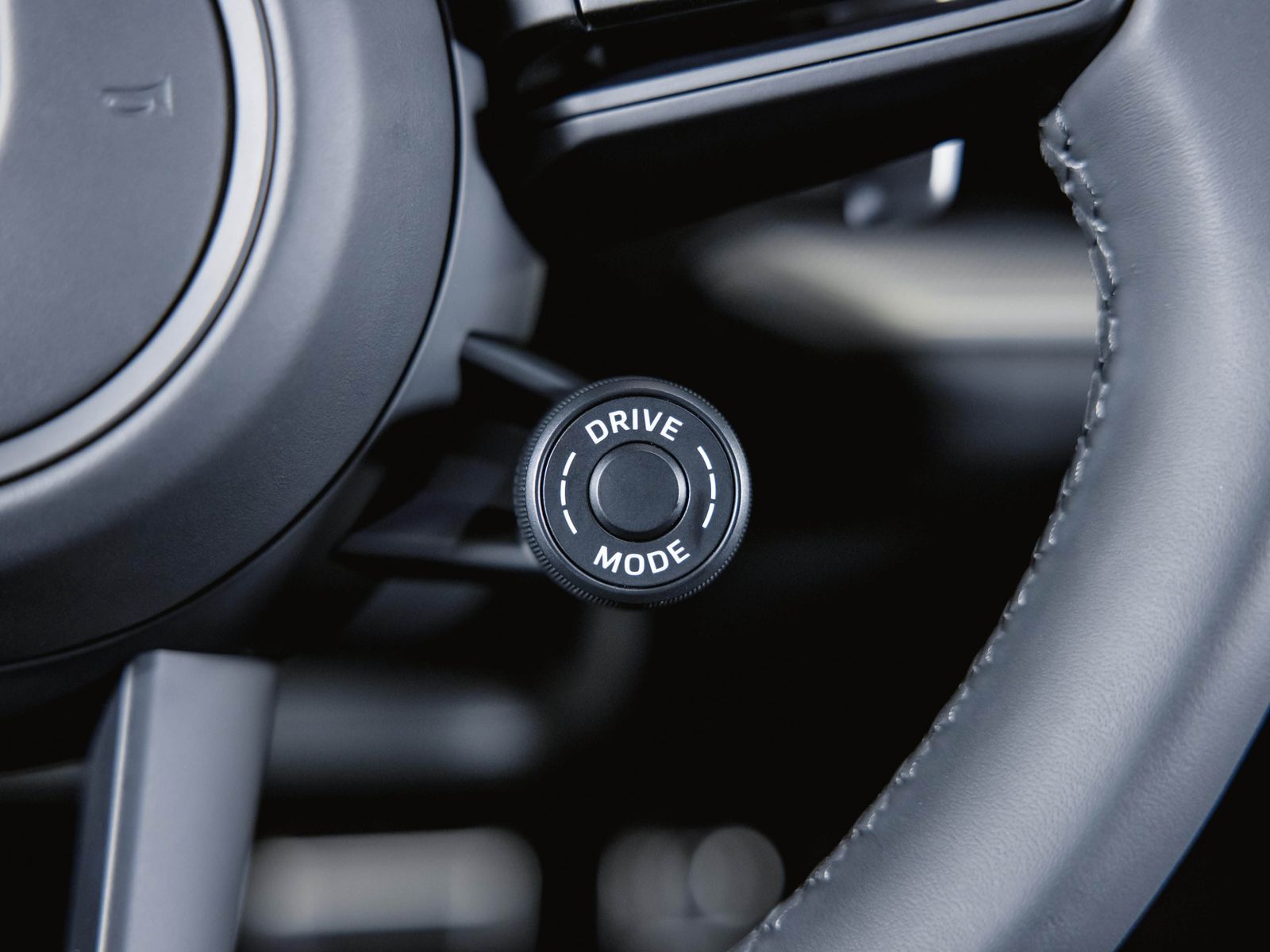 Porsche Cayenne E-Hybrid Sportabgasanlage BOSE