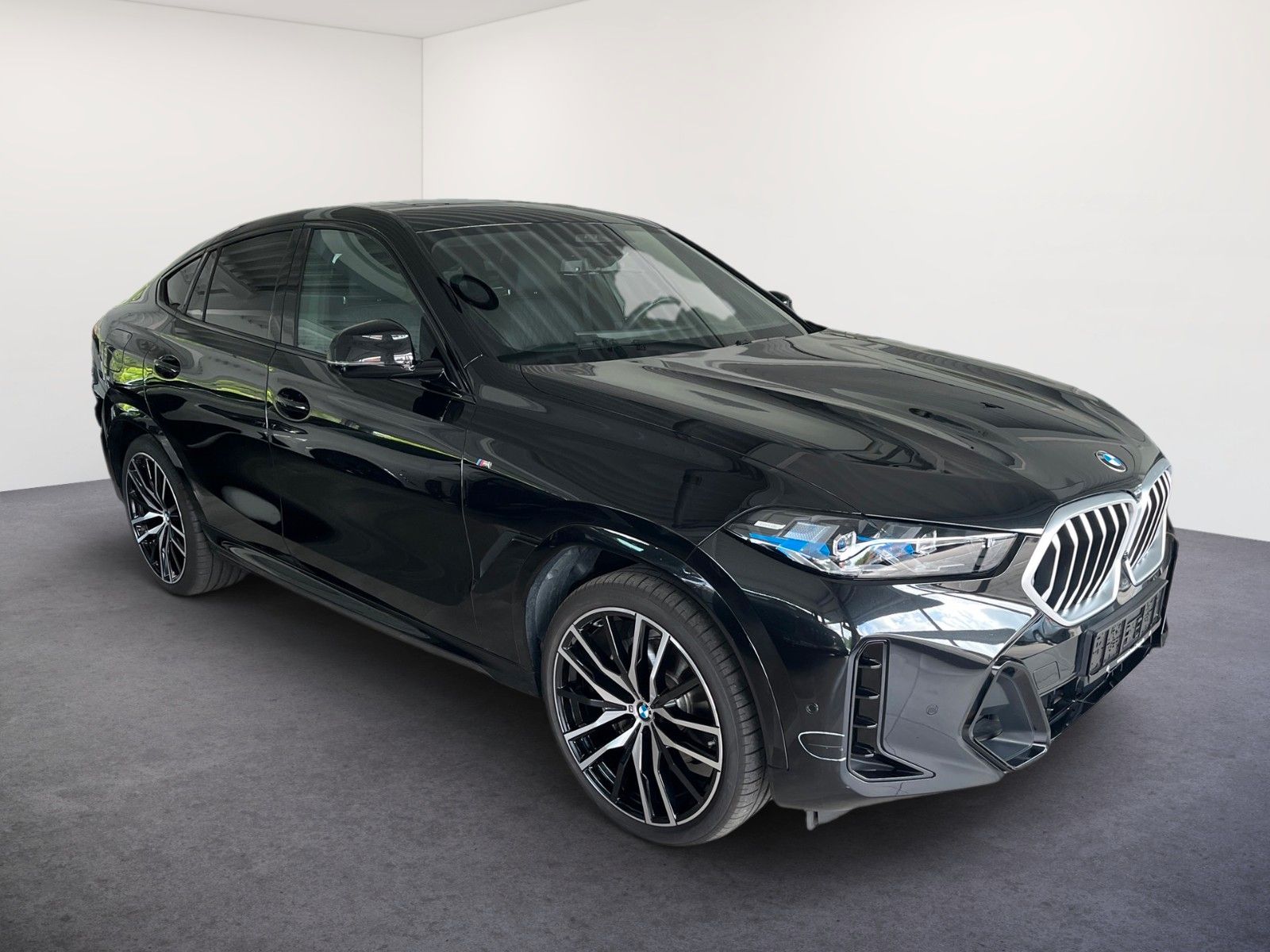 BMW X6 xDrive 40d M SPORT/LED/AHK/PANO-DA/H&K