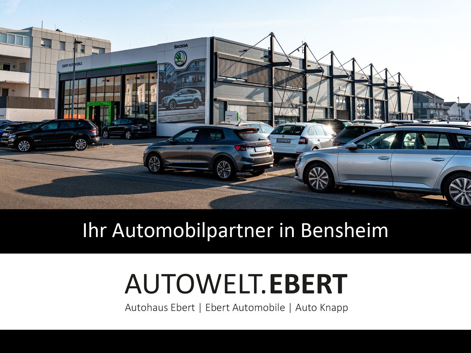 Skoda Superb Combi 2.0 TSI Scout Final 4x4/AHK/PANO/