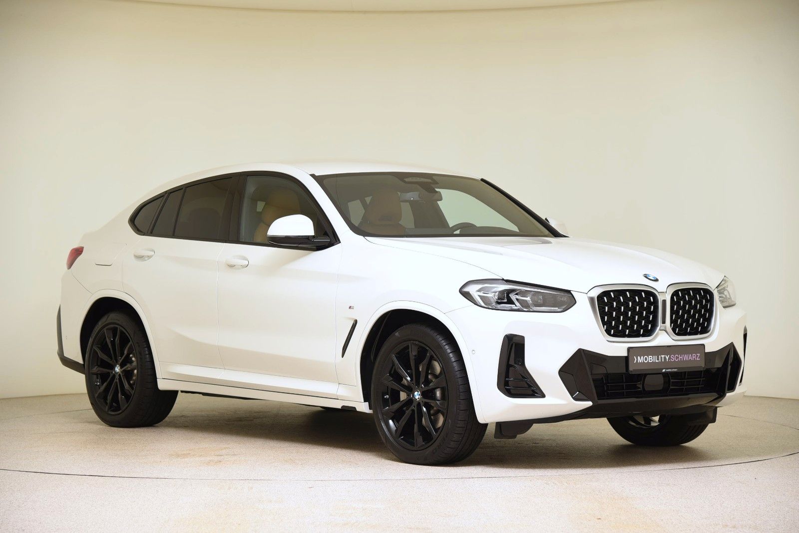 BMW X4 xDrive30d M Sport HUD HiFi LED DriveAss Alarm