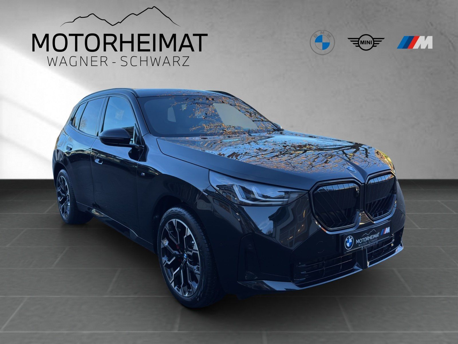 BMW X3 30e xDrive M Sport Pro AHK HUD ACC 360°