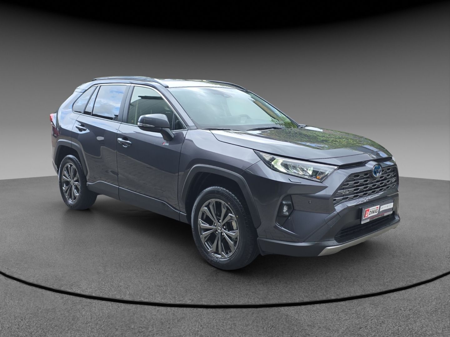 Toyota RAV 4 Hybrid 4x2 Team Deutschland Technik P. Nav