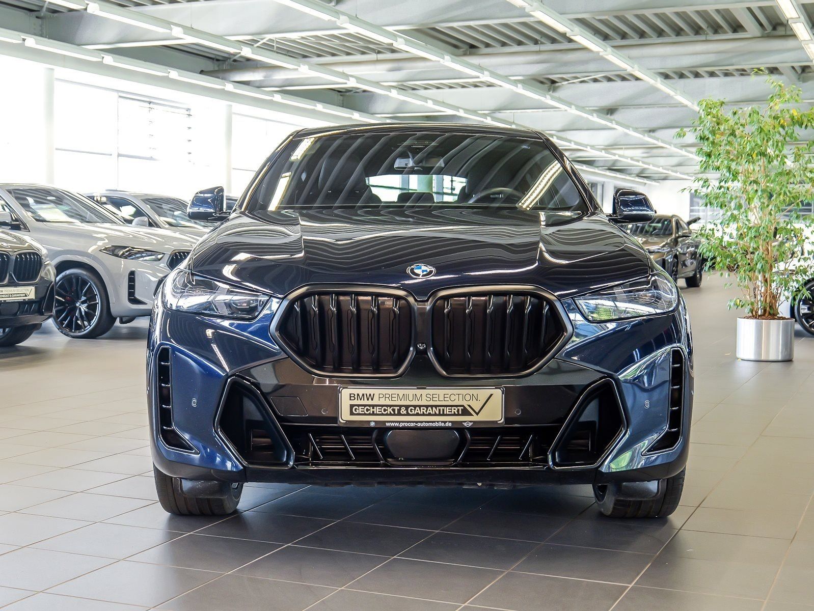 BMW X6 xDrive30d M Sport Pro PANO HUD ACC AHK RFK NA