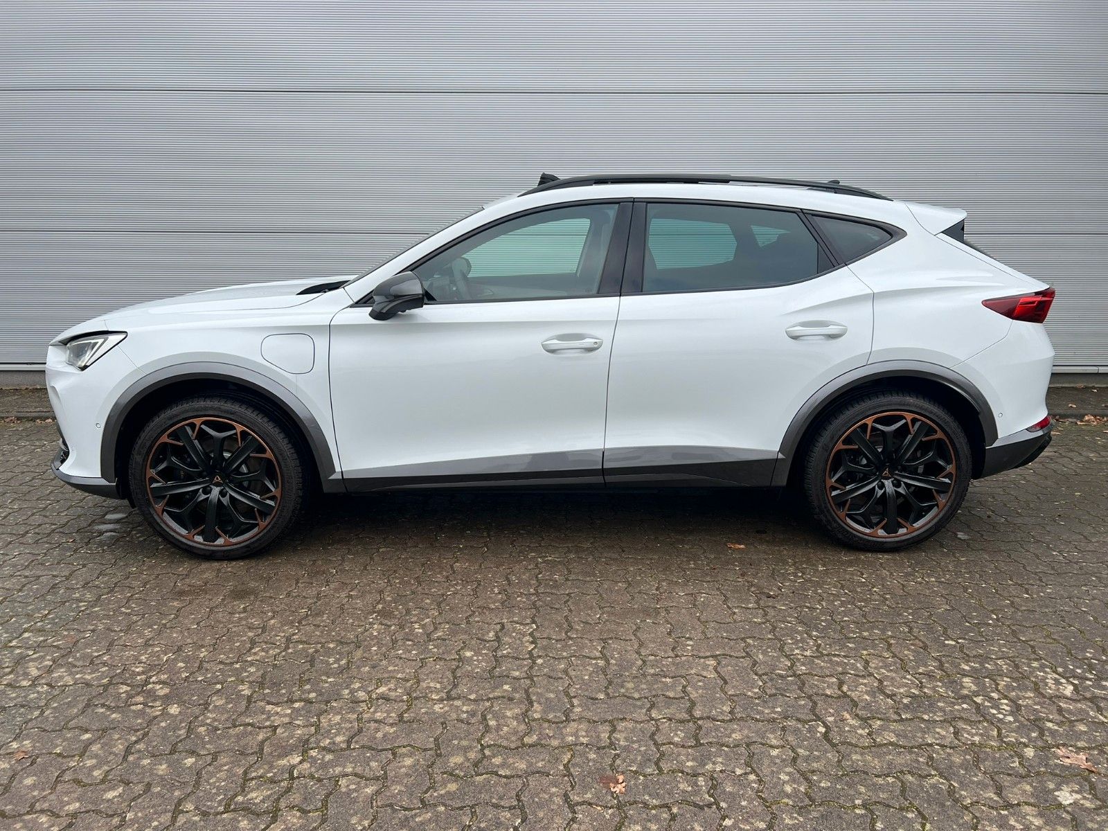 Cupra Formentor 1.4 e-Hyb. VZ DSG - AHK - Leder - Pano