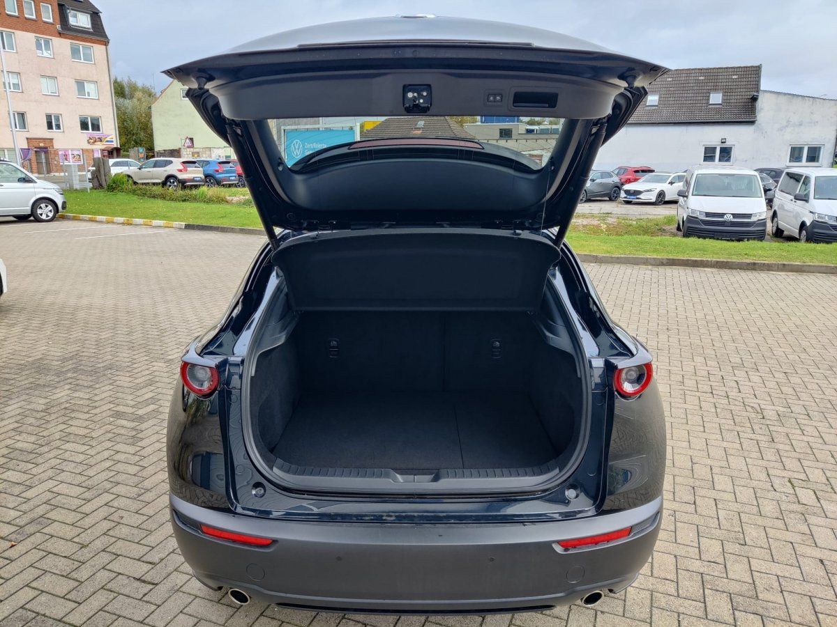 Mazda CX-30 Exclusive-line, Bose-Sound, 360°, Matrix-L