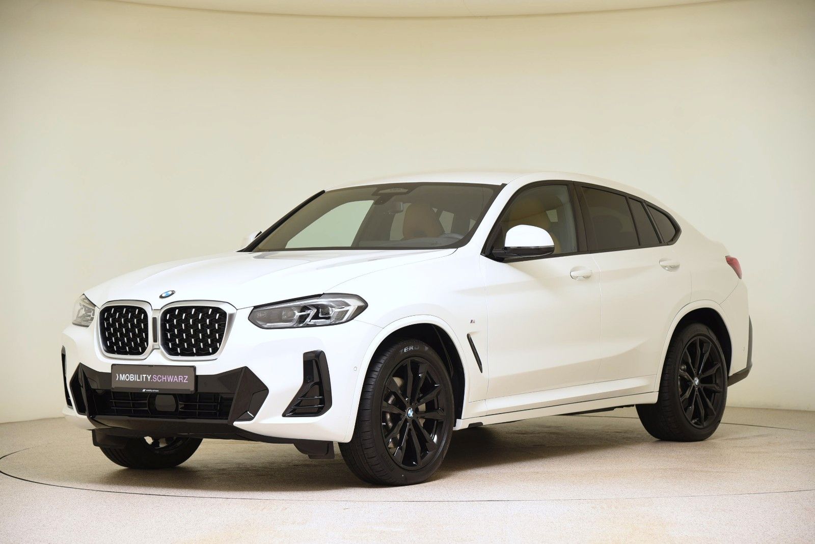 BMW X4 xDrive30d M Sport HUD HiFi LED DriveAss Alarm