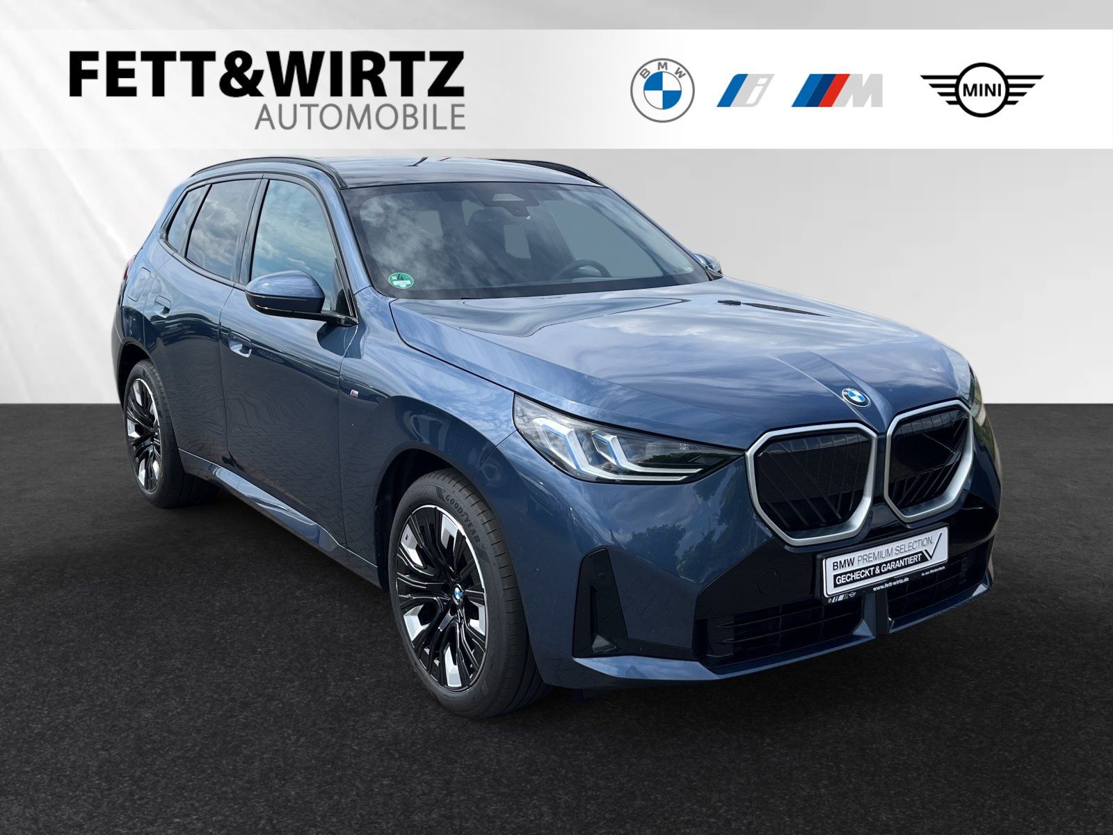 BMW X3 20 xDrive M Sport|Panorama|AHK|Standhzg.