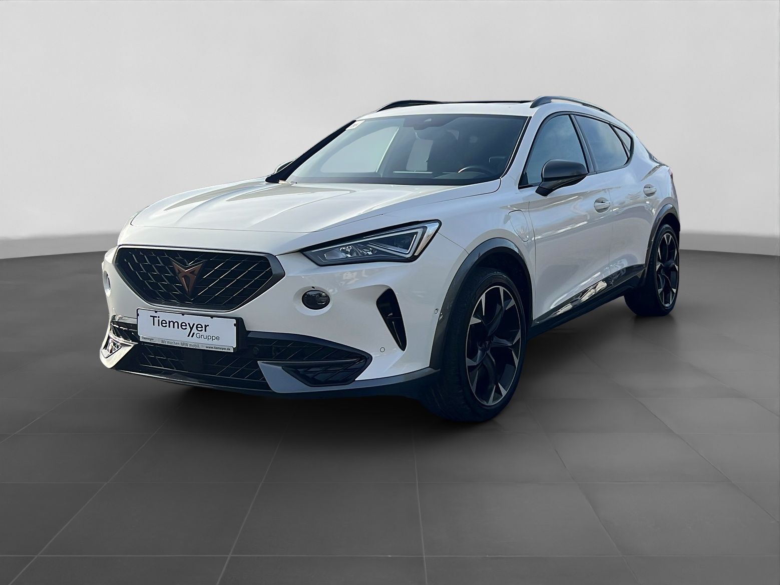 Cupra Formentor VZ eHybrid AHK PANO SIDE-ASSIST LM19