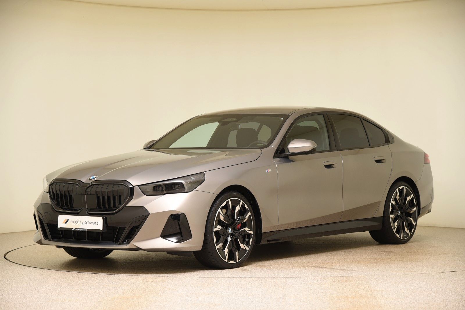BMW 540d xDrive M Sport Pro LED AHK H&K ParkAss DAB