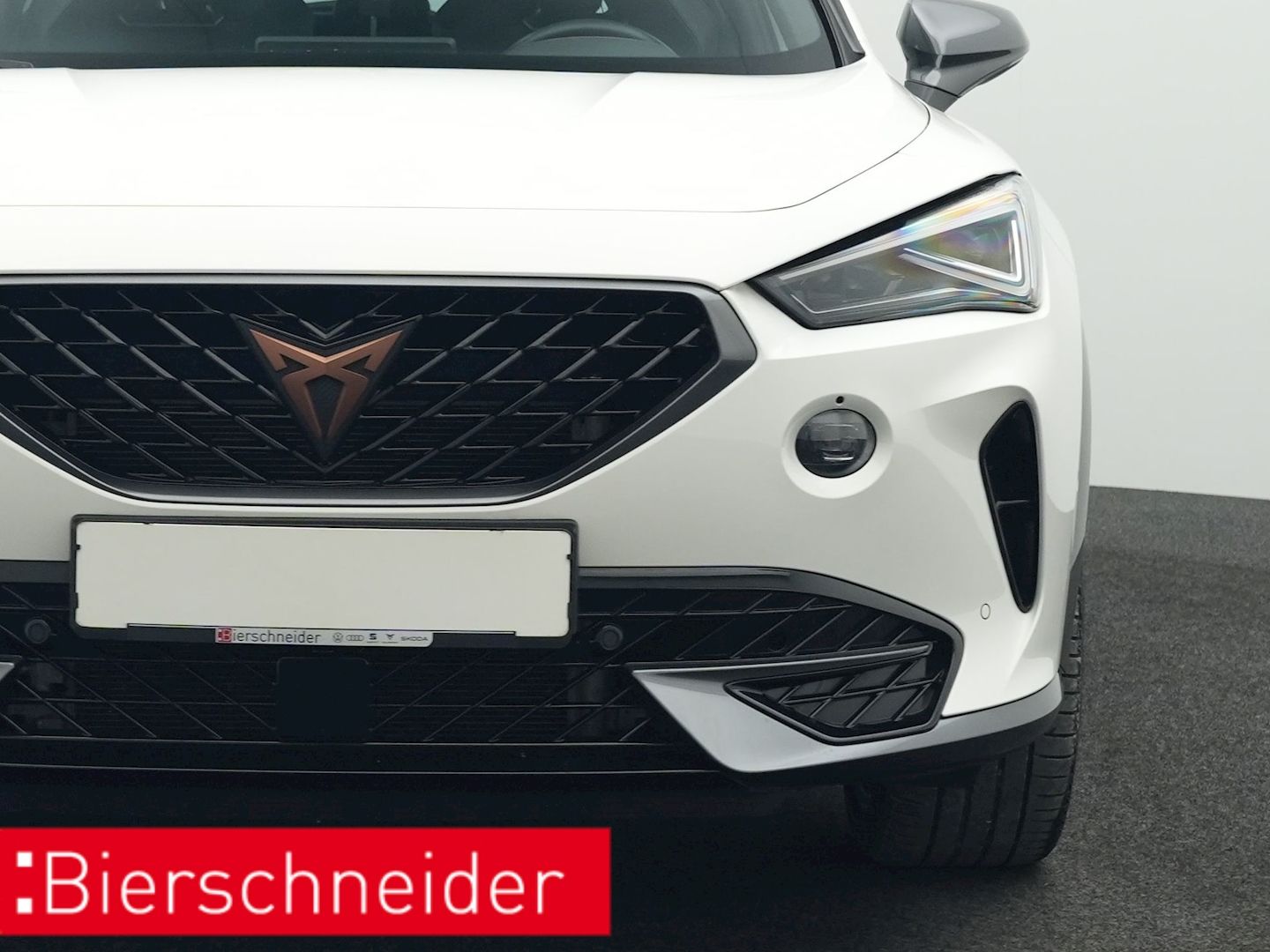 Cupra Formentor 2.0 TSI DSG 4Dr. VZ AHK BEATS NAVI LED