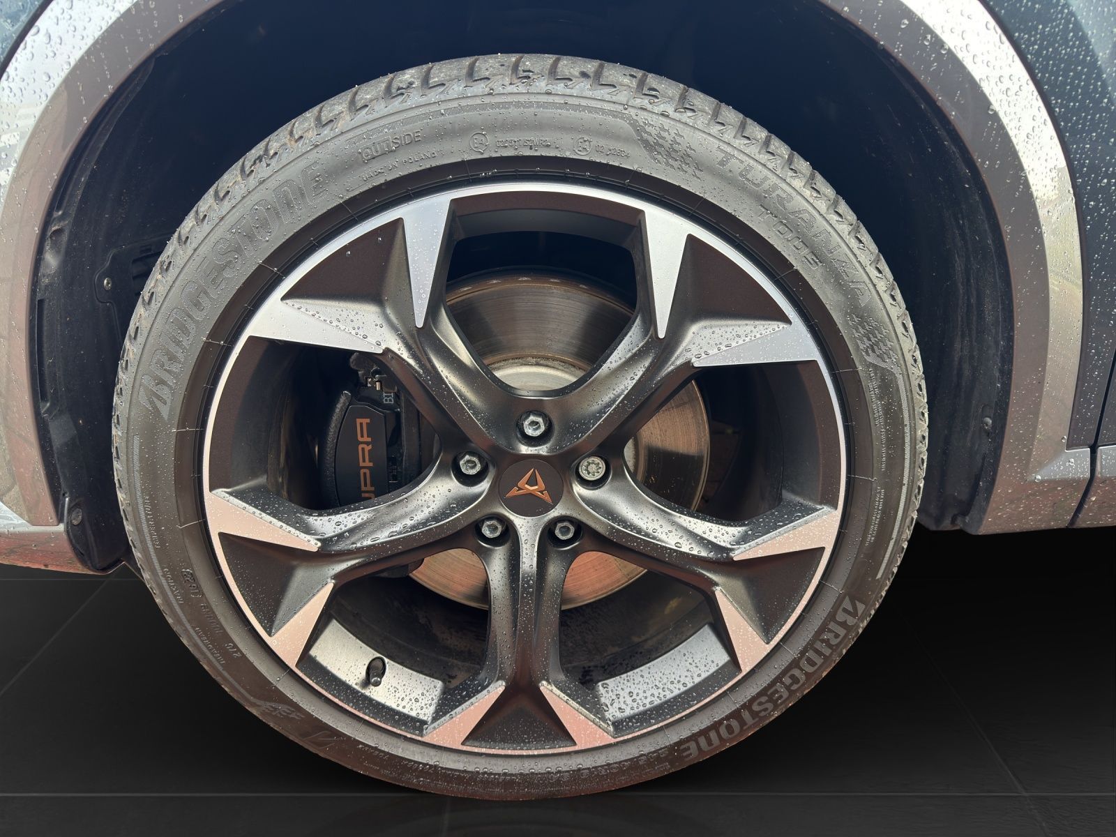 Cupra Formentor 2.0 TSI DSG 4D VZ KAMERA PANO AHK