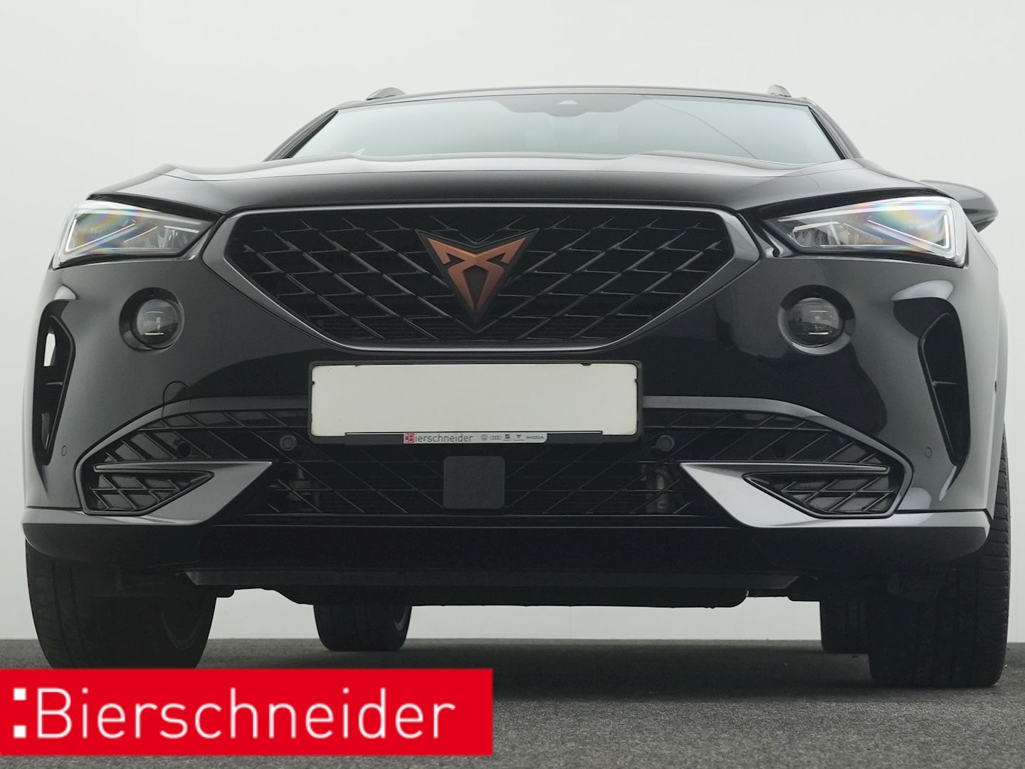 Cupra Formentor 1.4 TSI DSG e-Hybrid VZ PANO AHK KAMER