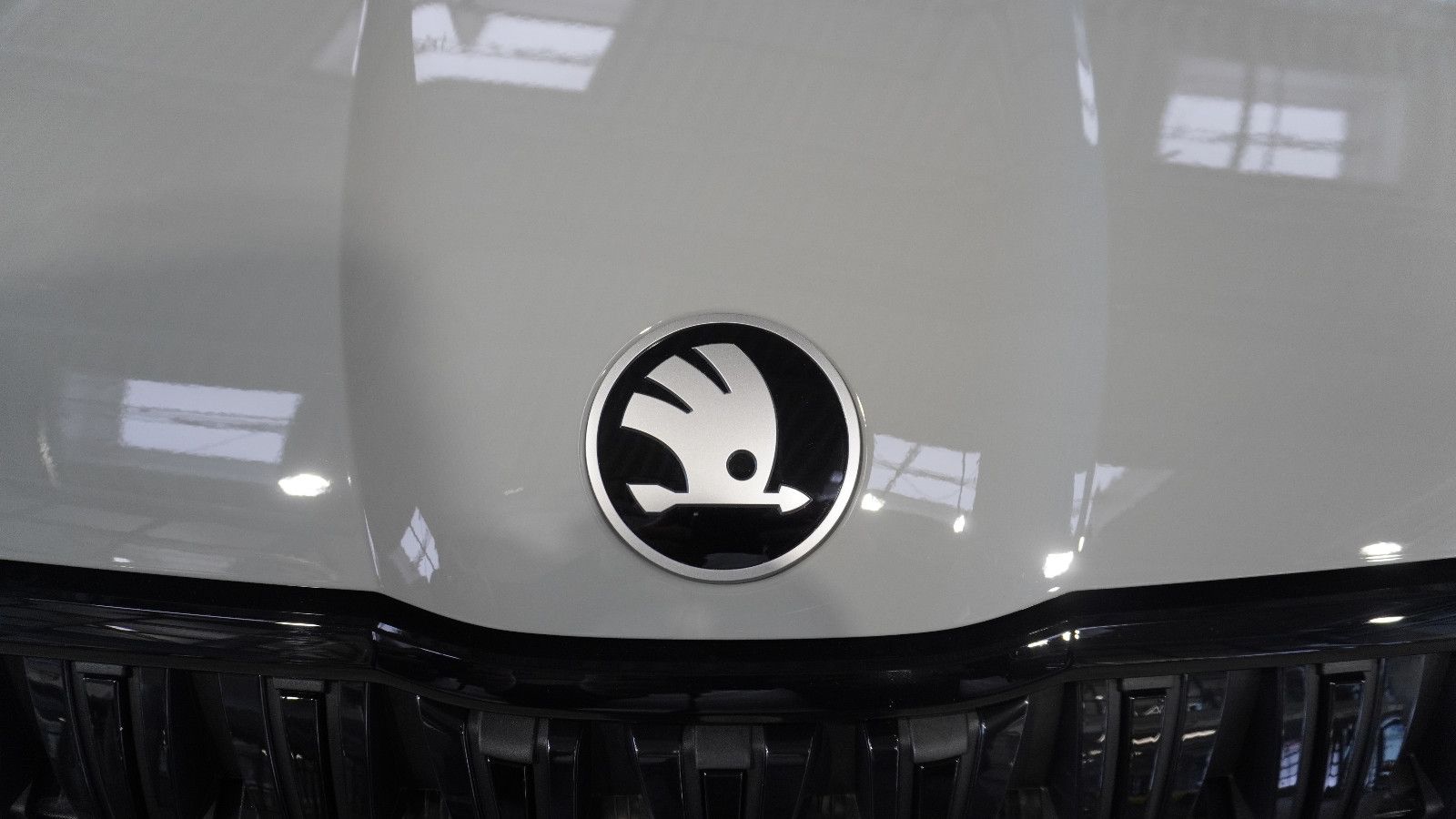 Skoda Kodiaq 2.0 TDI 4x4 Sportline*AHK*PANO*STHZ*HEAD