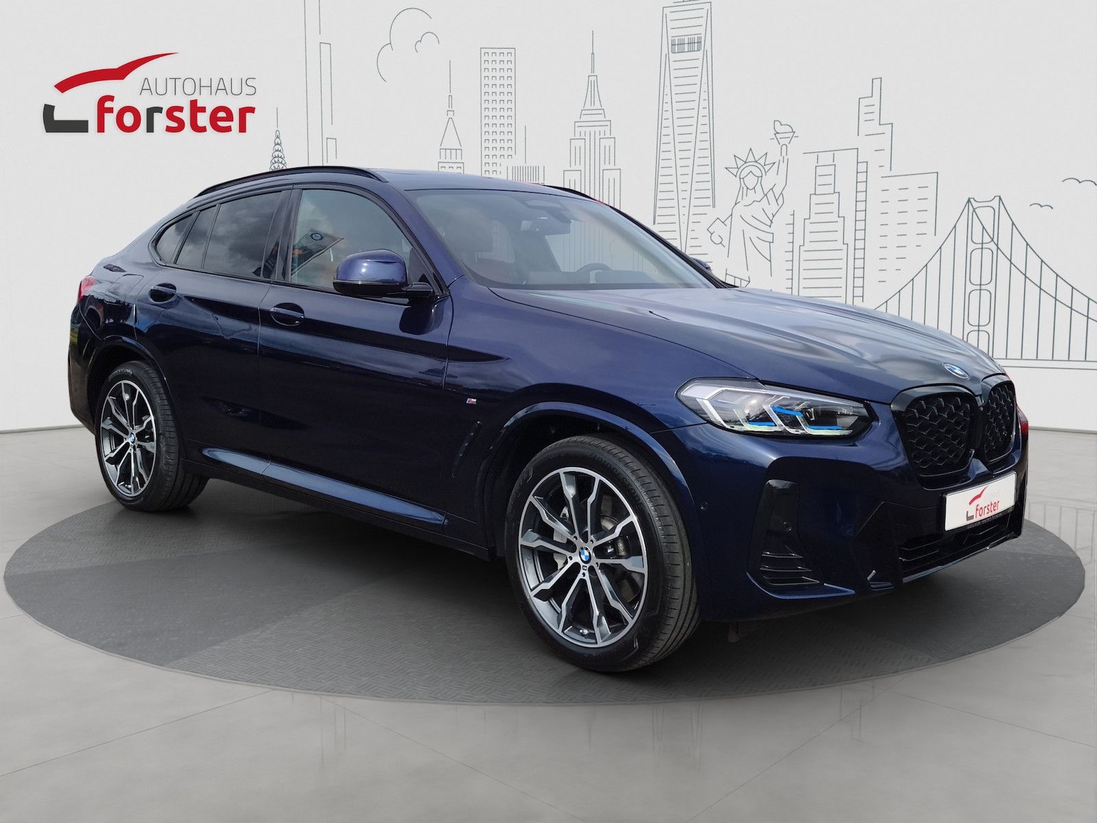 BMW X4 xDrive 30d M Sport AHK HUD Laserl. ACC Winter