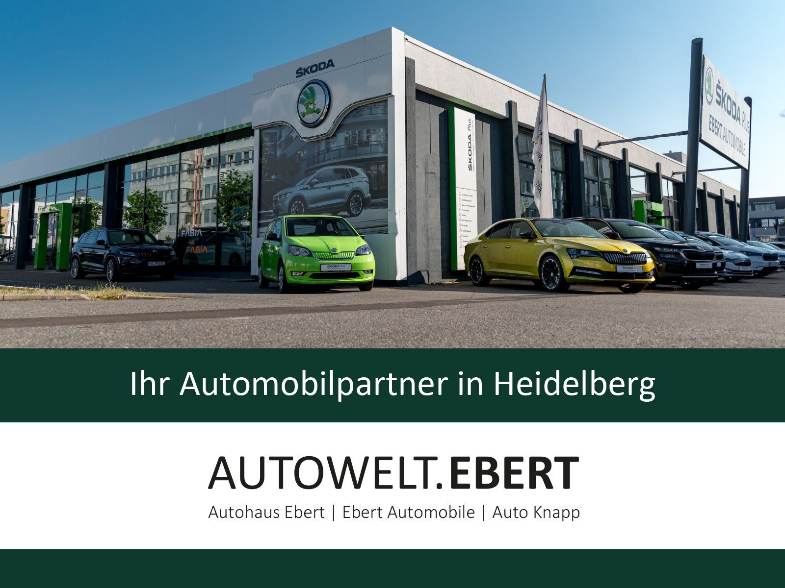 Skoda Kodiaq 2.0 TDI Tour 4x4/AHK/360°CAM/ACC/VIRTUAL/