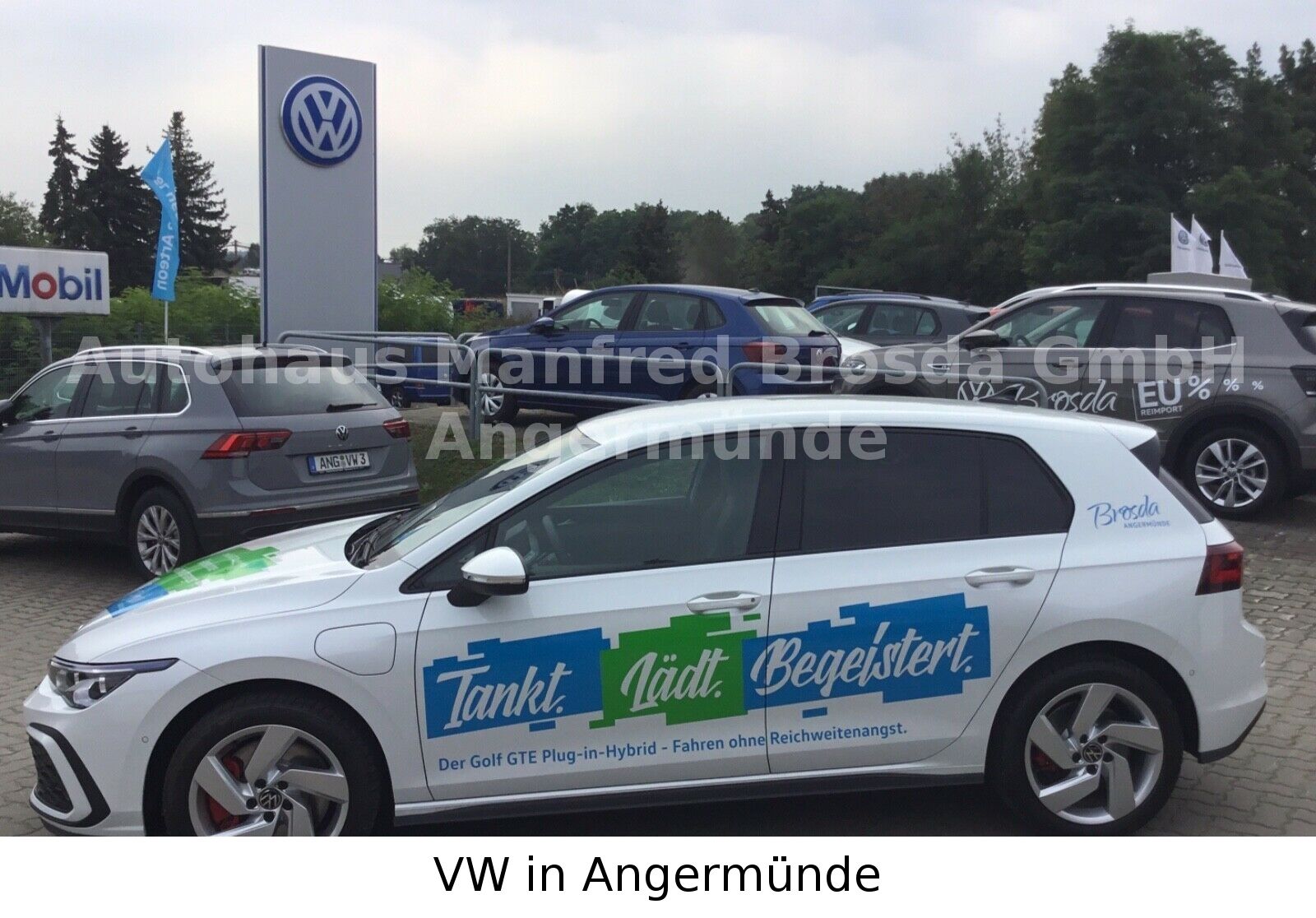 Volkswagen Golf VIII GTE eHybrid - Samsaru's Car Outlet