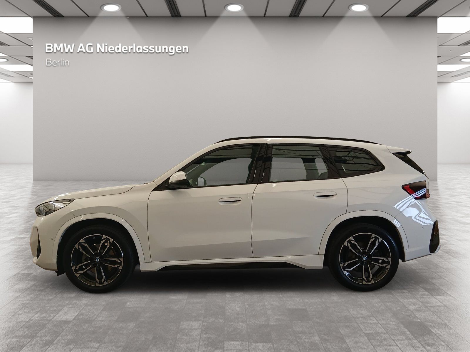 BMW X1 xDrive20d M Sport Navi Driv.Assist+ Pano AHK