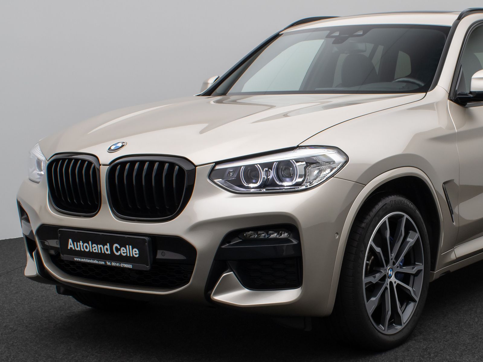 BMW X3 xD30d M Sport Panorama Kamera DAB HiFi DisKey