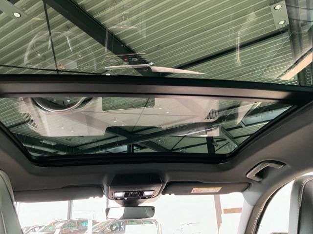 Cupra Formentor VZ 2.0 TSI 4Drive Panorama/AHK elektr.