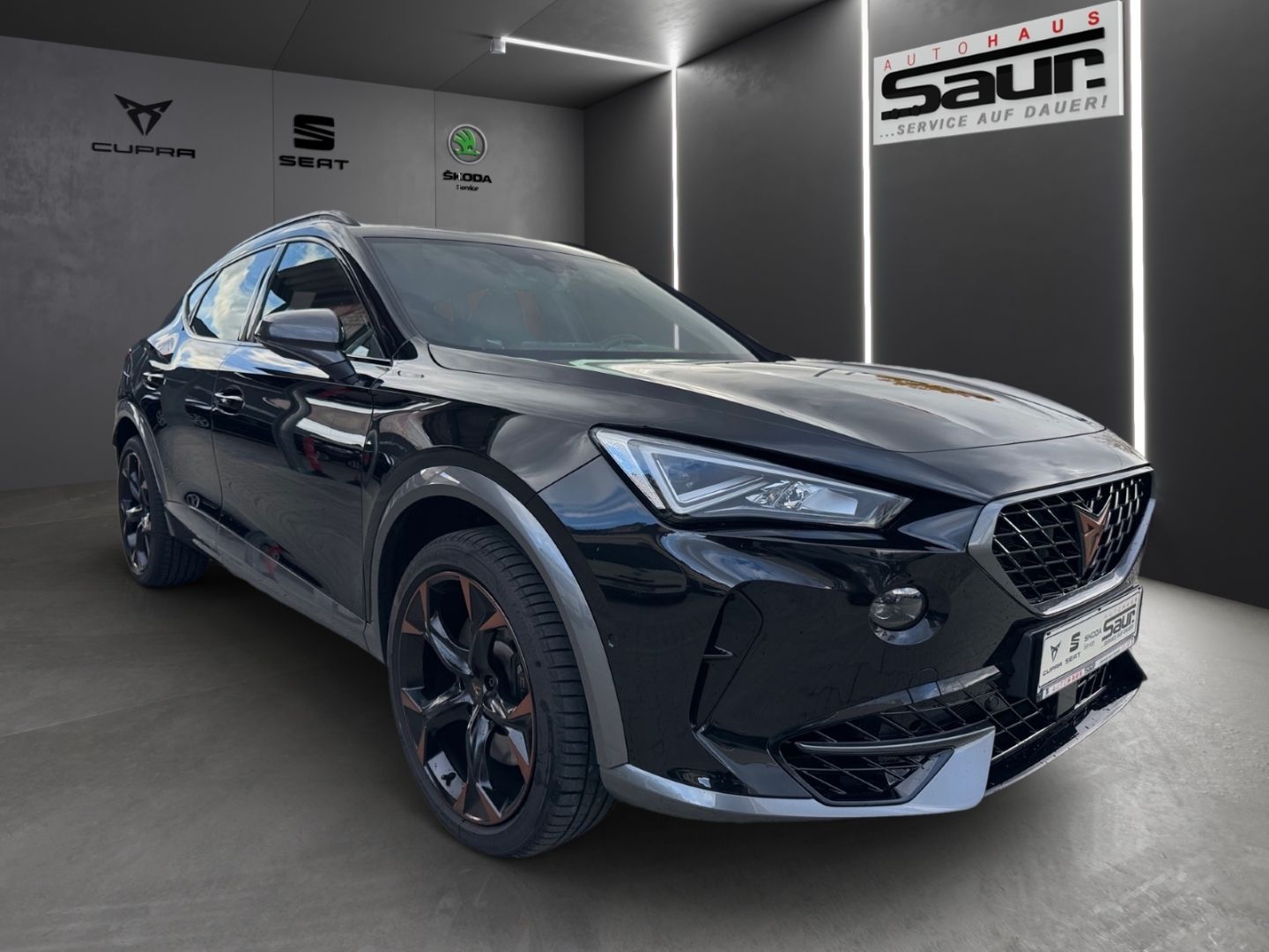 Cupra Formentor VZ 2.0 TSI 4Drive DSG AHK PANORAMA BEA