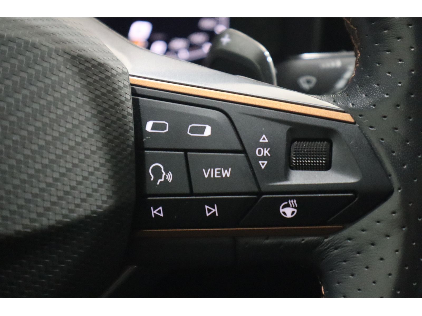 Cupra Formentor 1.4 eTSI DSG Navi*AHK*PANO*CAM*SHZ