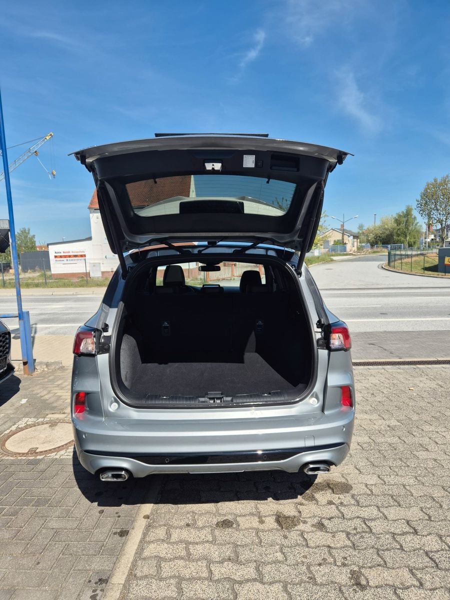Ford Kuga ST-Line X - Samsaru's Car Outlet
