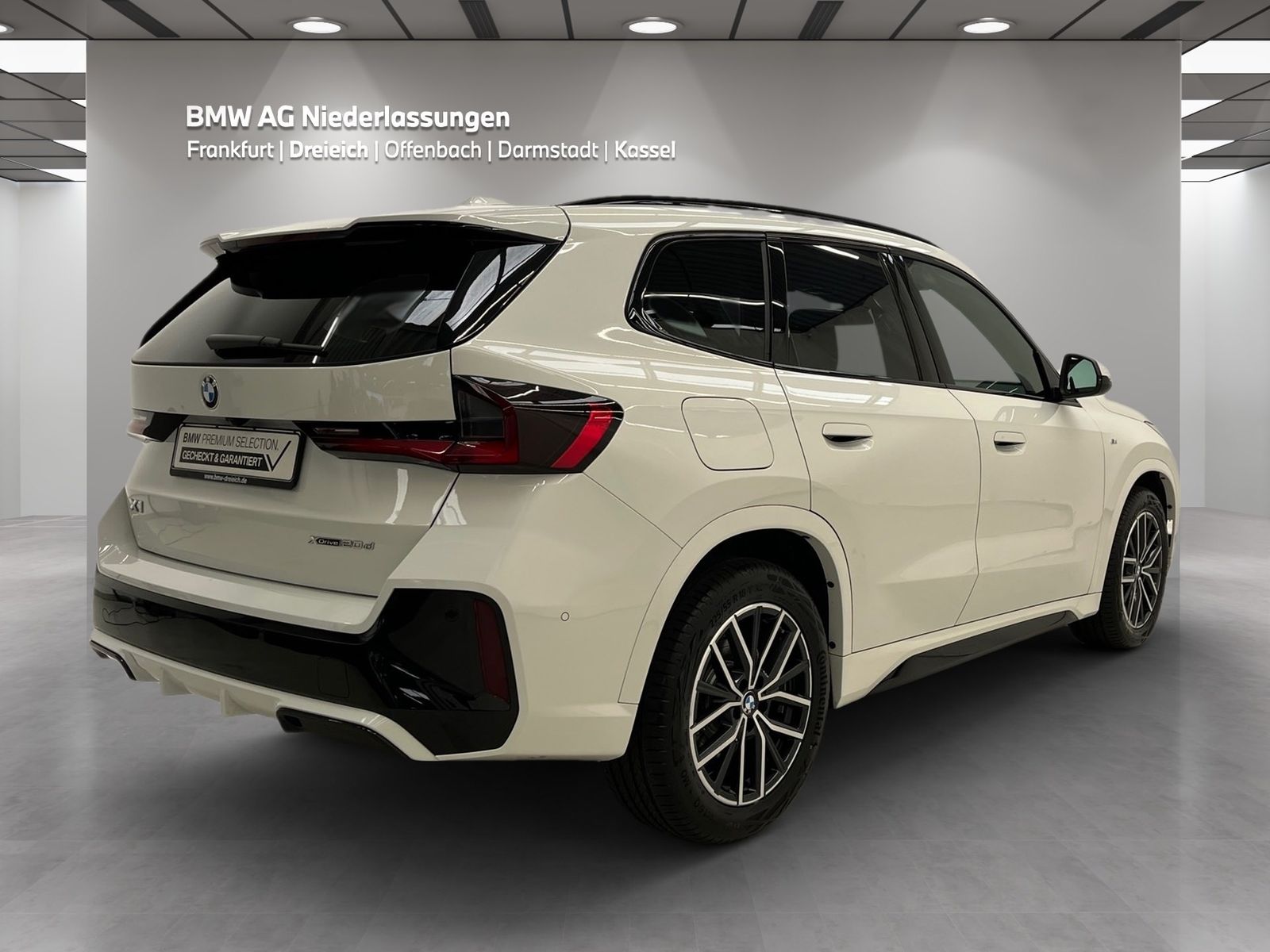 BMW X1 xDrive20d M Sport AHK Driv.Assist+ Harman/K