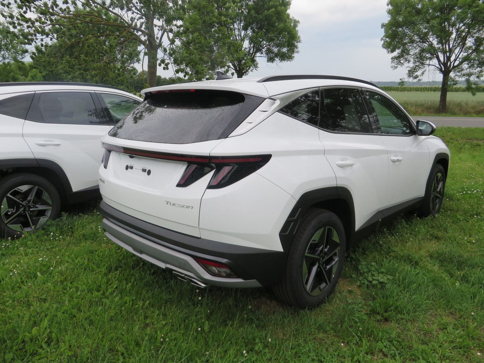 Hyundai TUCSON 1.6 T-GDI DCT Trend - Samsaru's Car Outlet