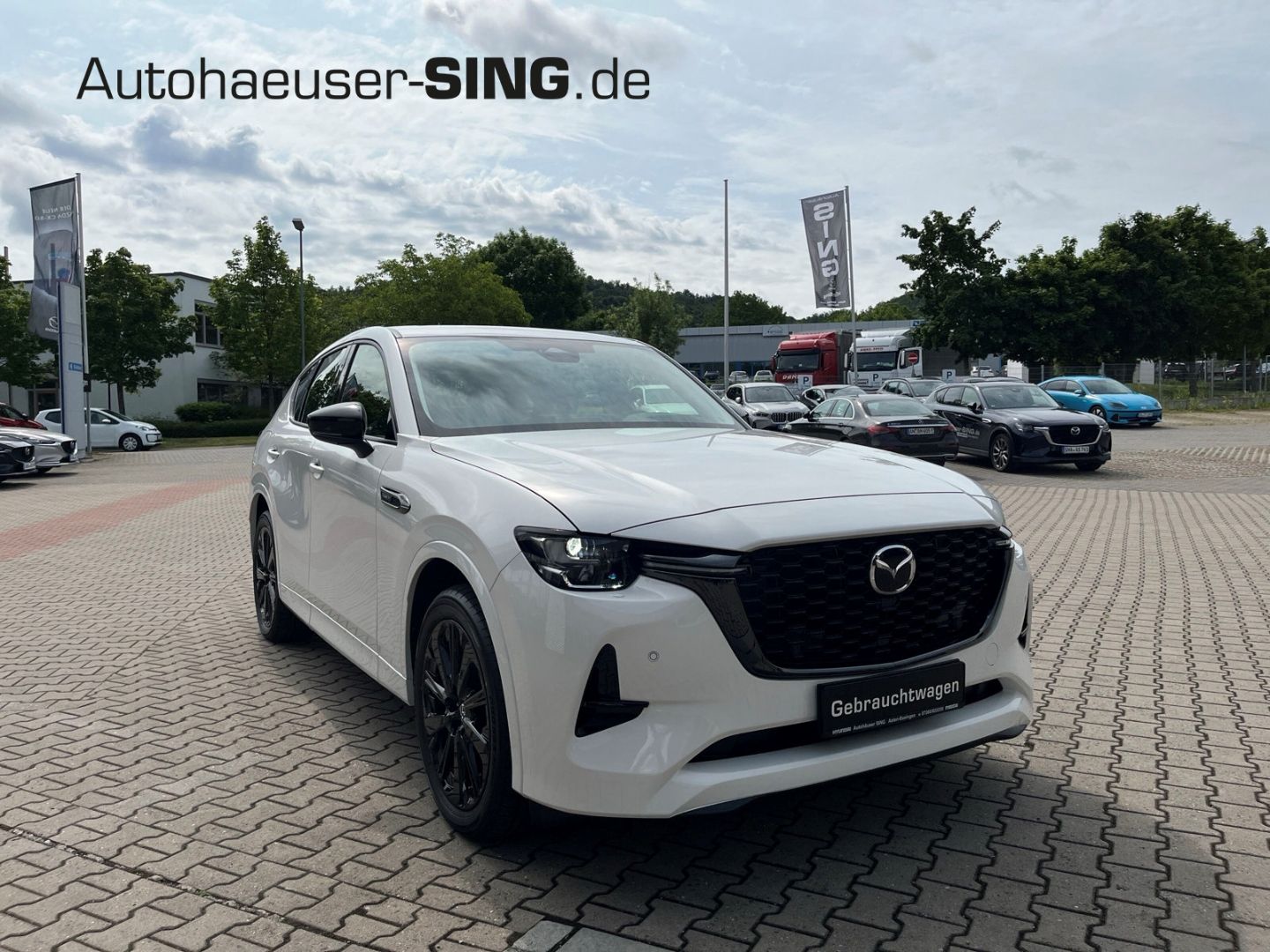 Mazda CX-60 Homura Plug-In-Hybrid Driv.Ass COMF AHK