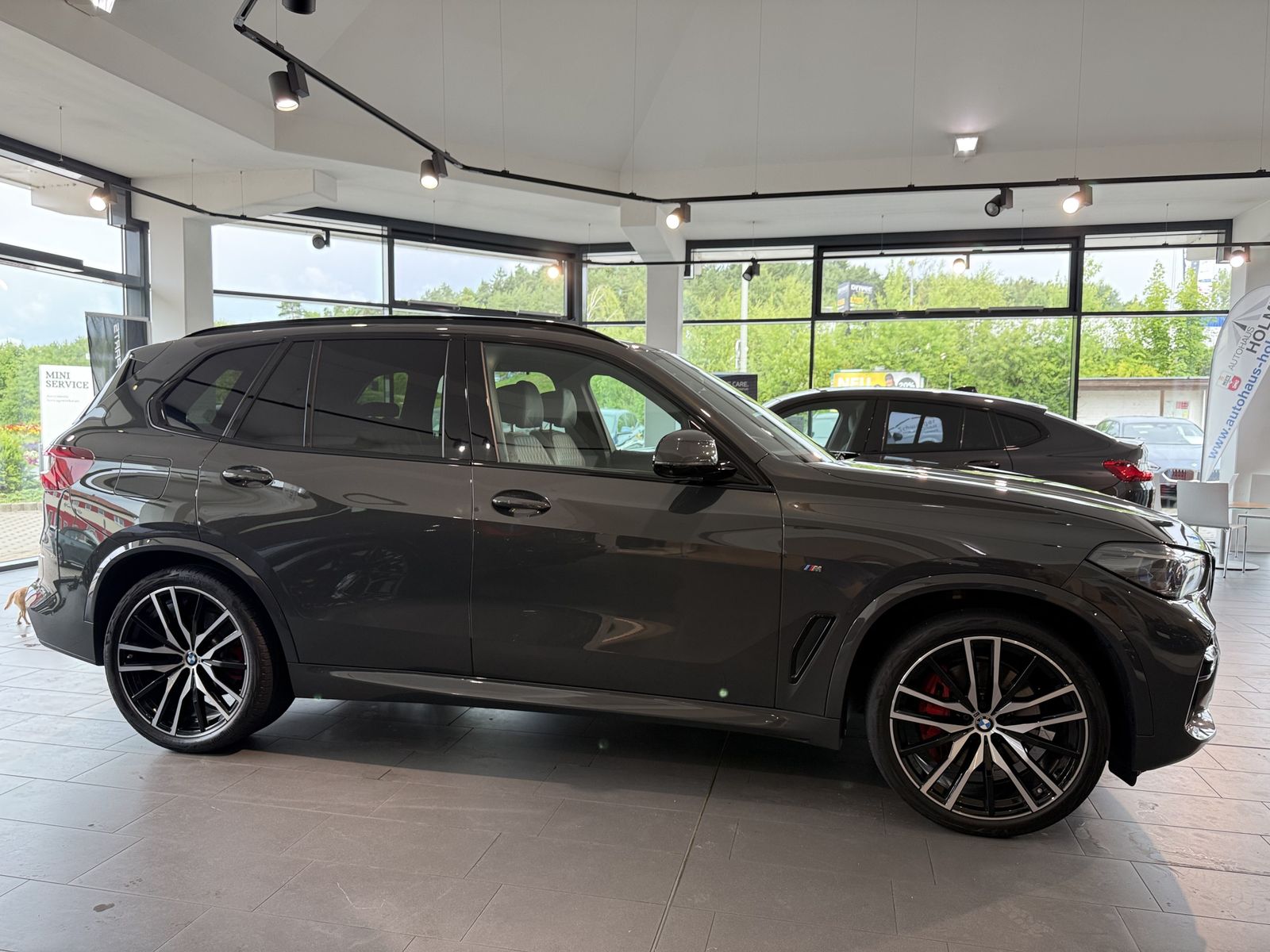 BMW X5 xDrive30d M Sport M Sportpaket Head-Up HiFi